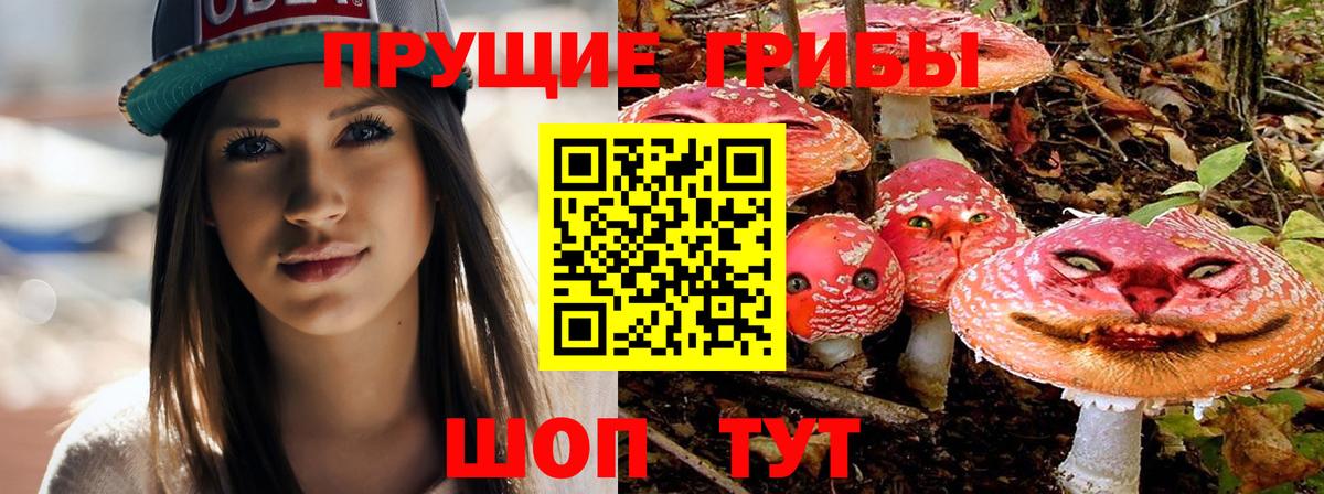 Губкинский  Галлюциногенные грибы Psilocybine cubensis  Вход с VPN 